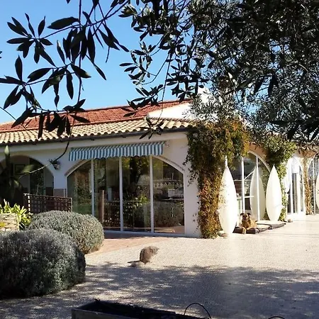 Casa Olyves Onil